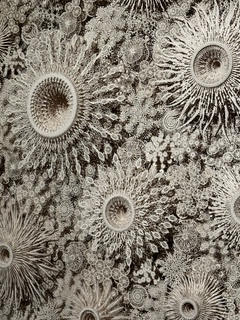 Expo Iris van Herpen — Sculpting the Senses